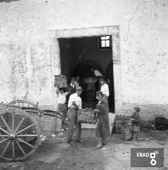 Persone che vendemmiano in una cantina