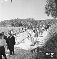 Processione del Corpus Domini in una zona campestre