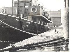 Foto dell'Anita Lamey ormeggiata con corde in primo piano Una compagnia di rimorchiatori del porto di Liverpool ha dimezzato il suo annuale acquisto di corde di ormeggi adottando al posto delle normali corde di fibre naturali altre in fibre di politilene che pressentano una maggiore leggerezza, flessibilit e resistenza alle temperature e all'impermeabilit. Realizzate da: Corde e funi sintetice, Leeds, England. Marzo 1962